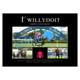 Willydoit BM75 Ellerslie Win