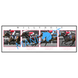 Willydoit - NZ Derby Campaign Light Edition