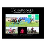 Charcoals Seymour 2025