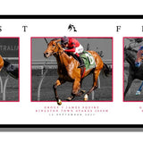 Just Fine 3x Winner Panoramic
