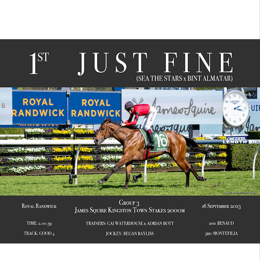 Just Fine G3 Kingston Town Stakes Race Win Photo