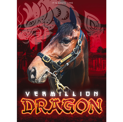 Vermillion Dragon It's Showtime Framed Poster