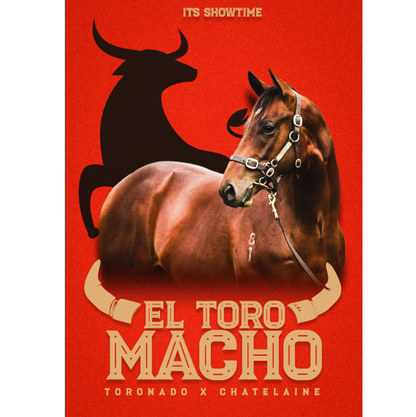 El Toro Macho It's Showtime Framed Poster