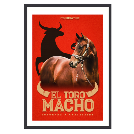 El Toro Macho It's Showtime Framed Poster