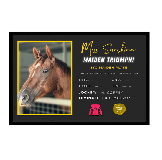 Miss Sunshine Maiden Triumph Frame