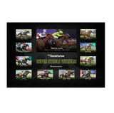 Super Stable Celebration