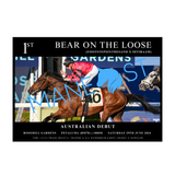 Bear On The Loose Australian Debut - A3 Frame