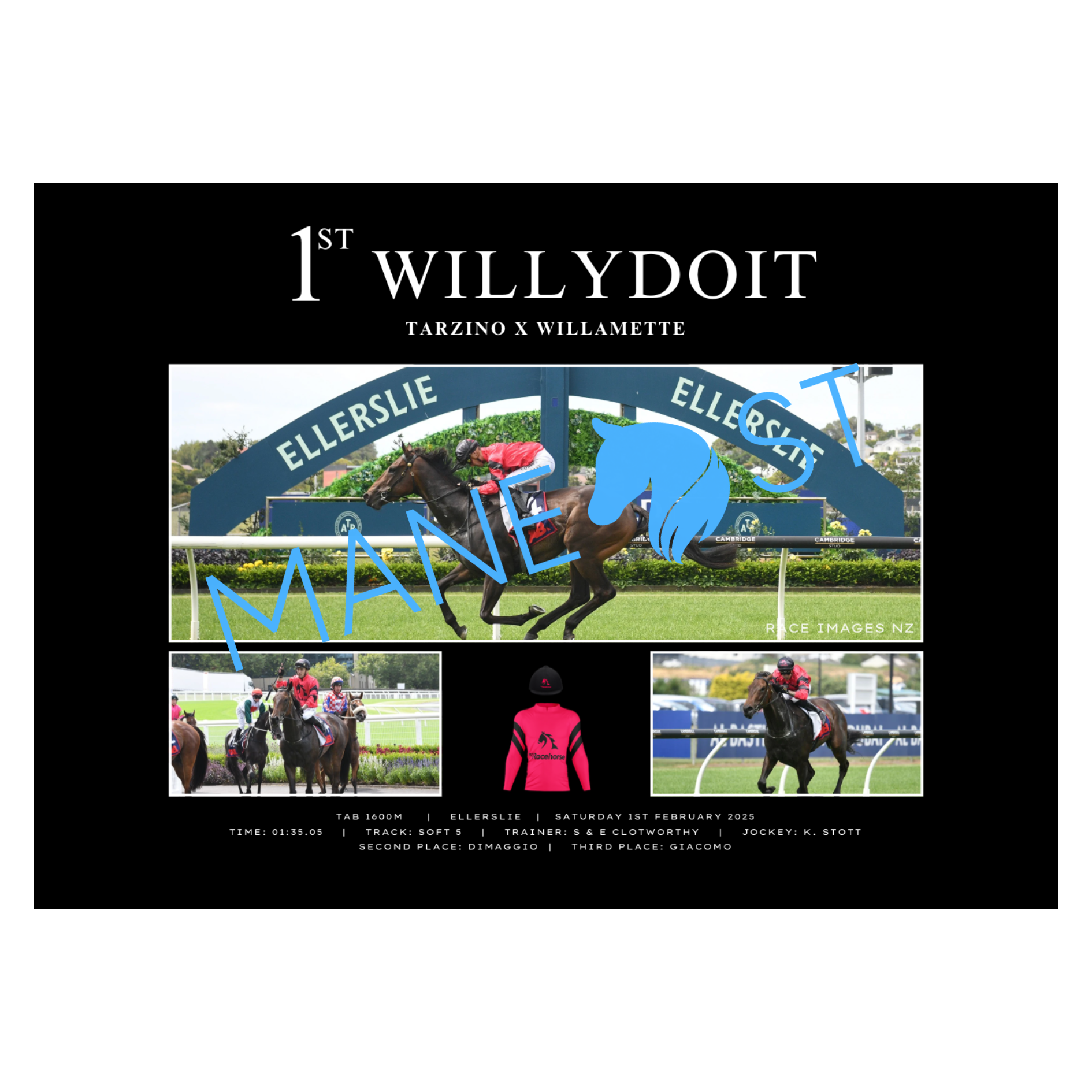 Willydoit BM75 Ellerslie Win