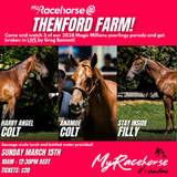 MyRacehorse @ Thenford Farm