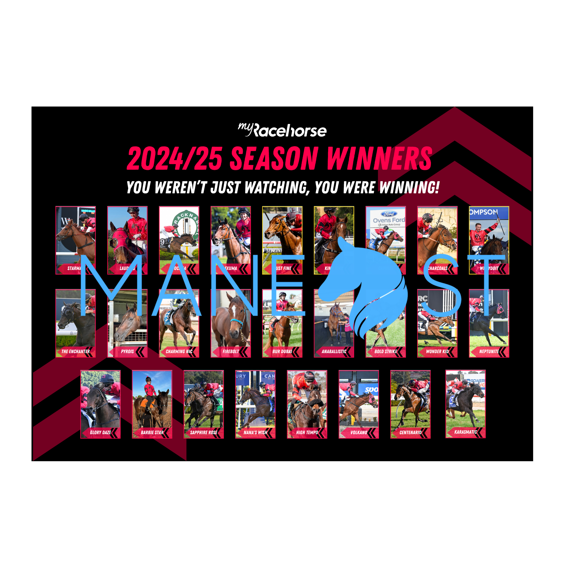 MyRacehorse Winners - 2024/25 Season Print