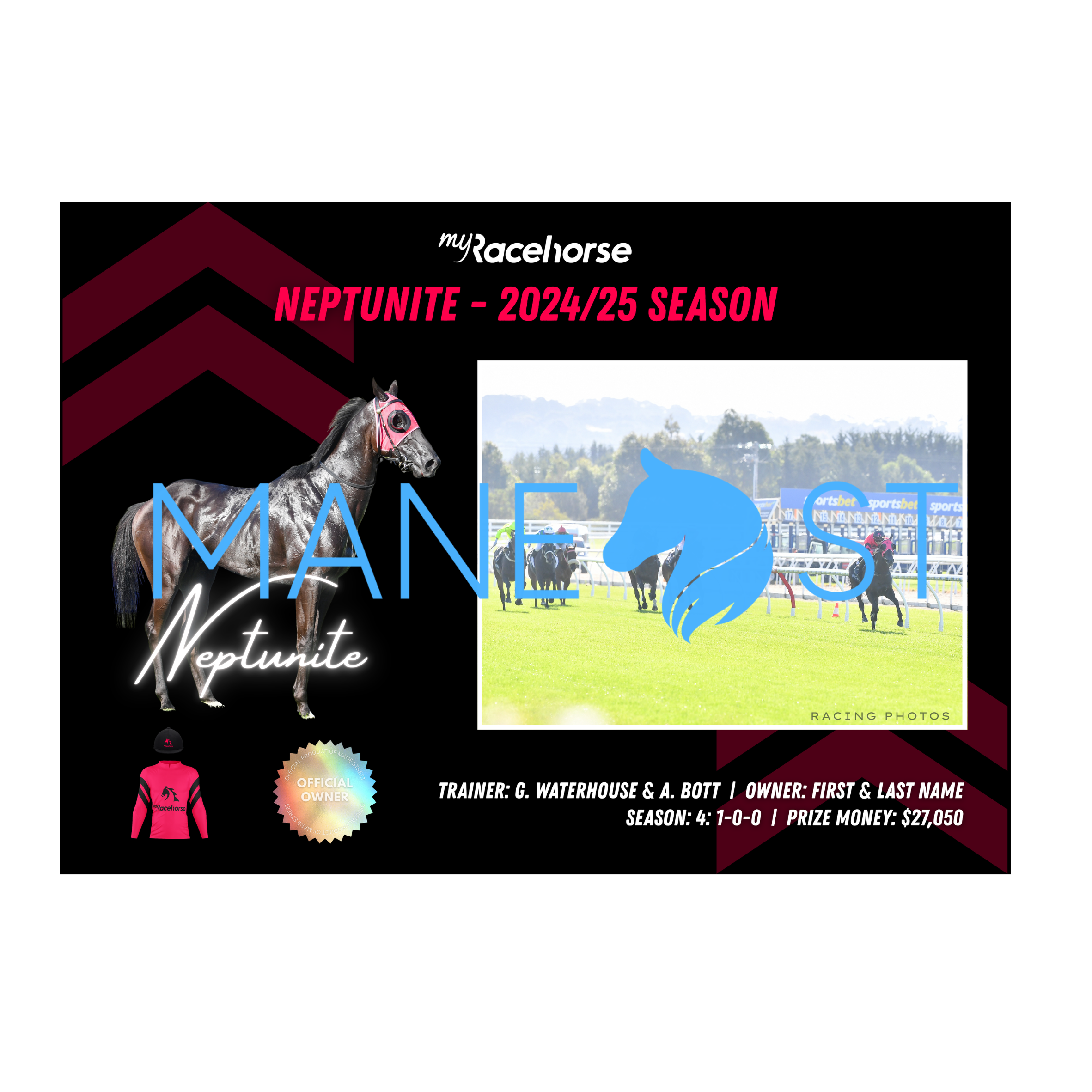 Neptunite - 2024/25 Season Print