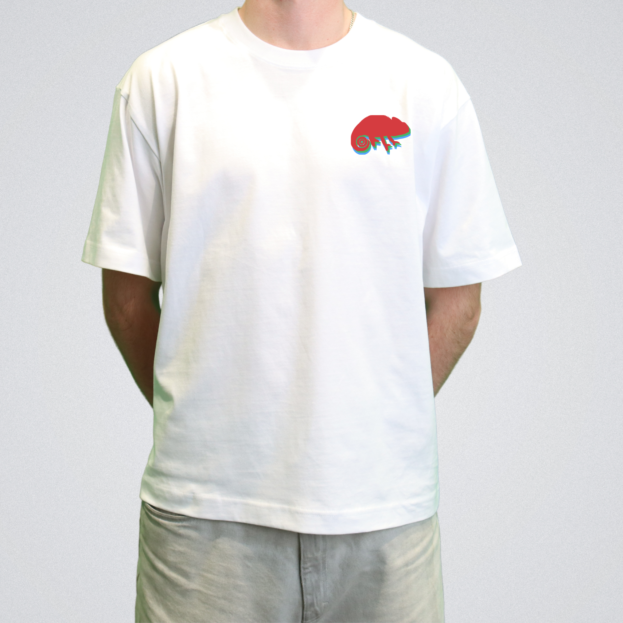 Chameloen in a bag of skittles Tee