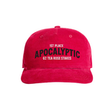 Apocalyptic Corduroy Cap - Tea Rose Stakes