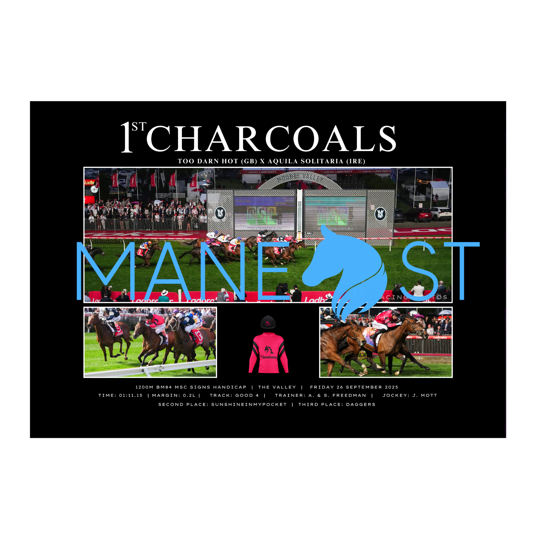 Charcoals The Valley 2025 - Standard