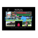 Ninja G3 Vo Rogue 2026 - Standard