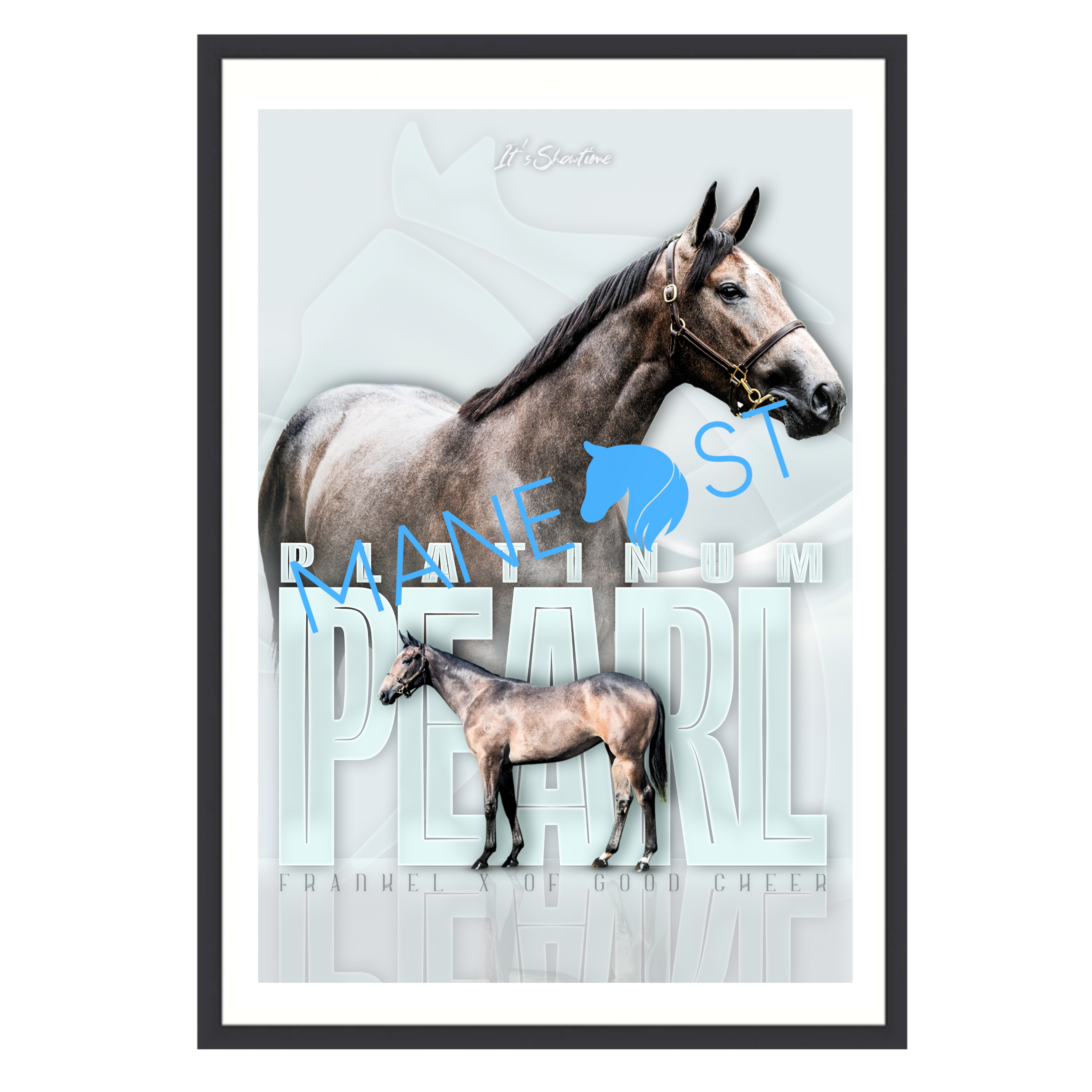 Platinum Pearl It's Showtime Frame