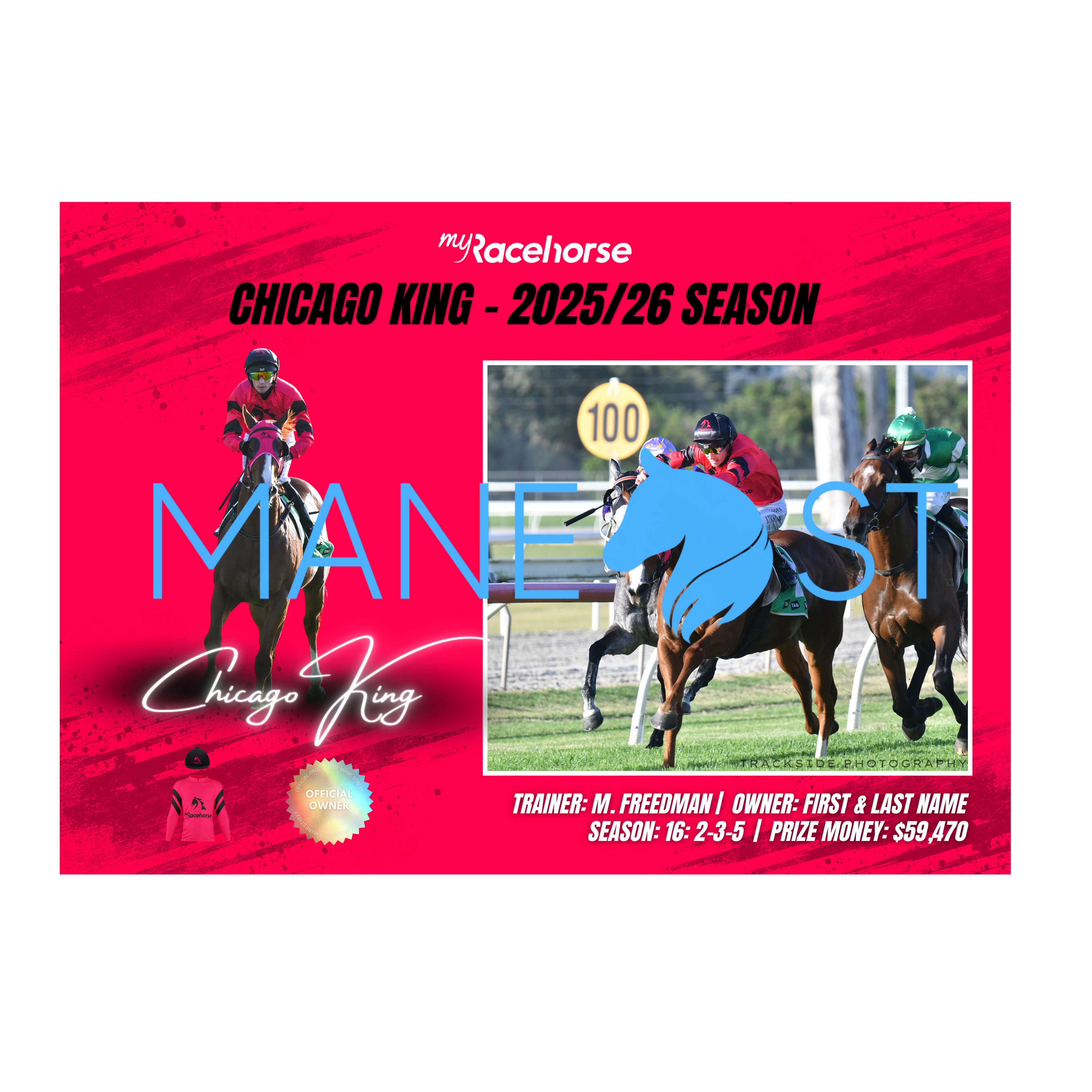 Chicago King - 2025/26 Season Print