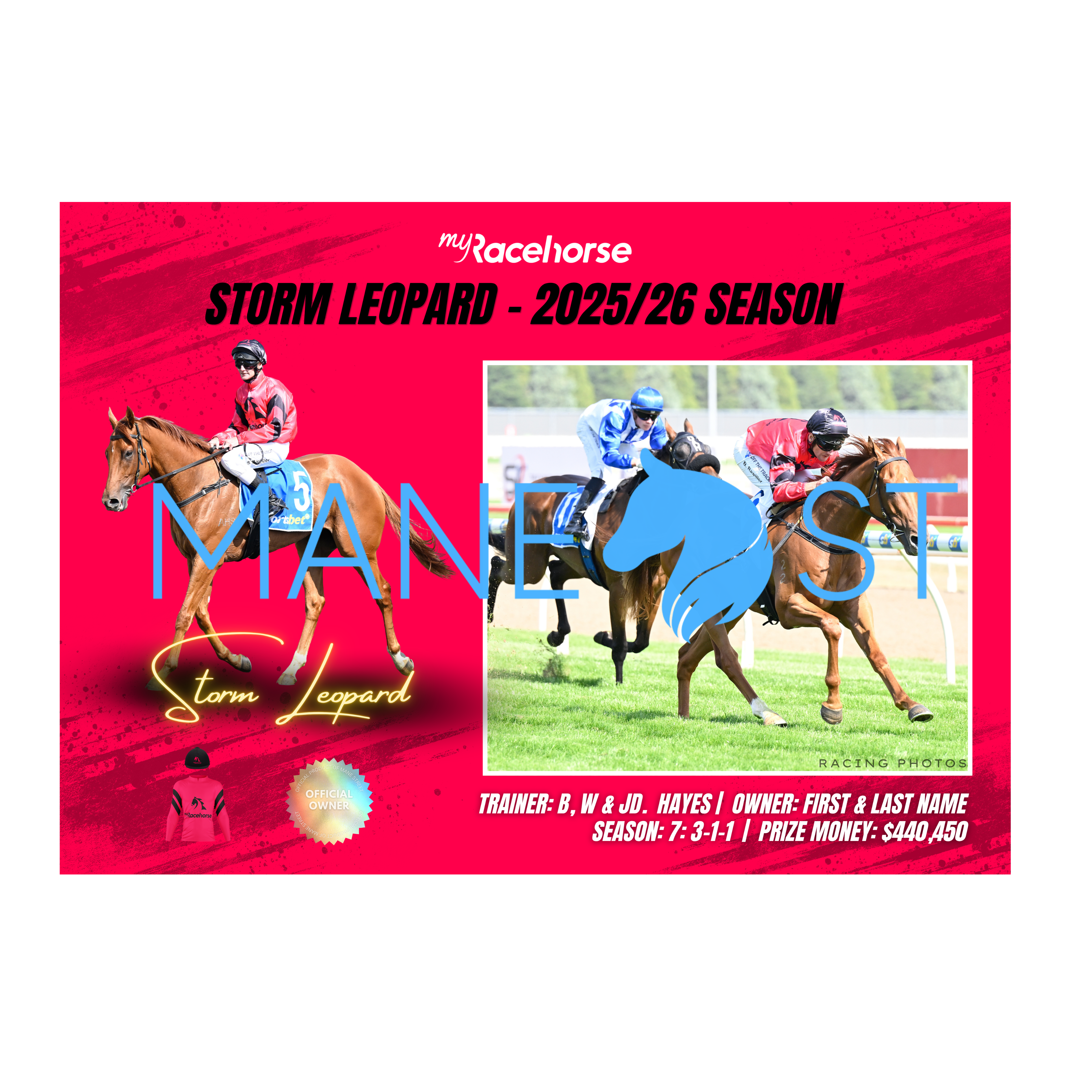 Storm Leopard - 2025/26 Season Print