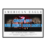 American Eagle G3 Mcneil Stakes - Premium
