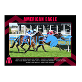 American Eagle - Mcneil Stakes Print