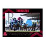 Transcend - BM78 Rosehill Print