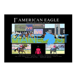 American Eagle G3 Mcneil Stakes - Standard