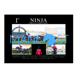 Ninja G2 Missile Stakes 2026 - Personalised