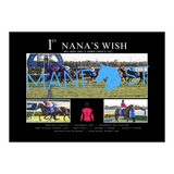 Nana's Wish Canterbury 2025 Win - Standard
