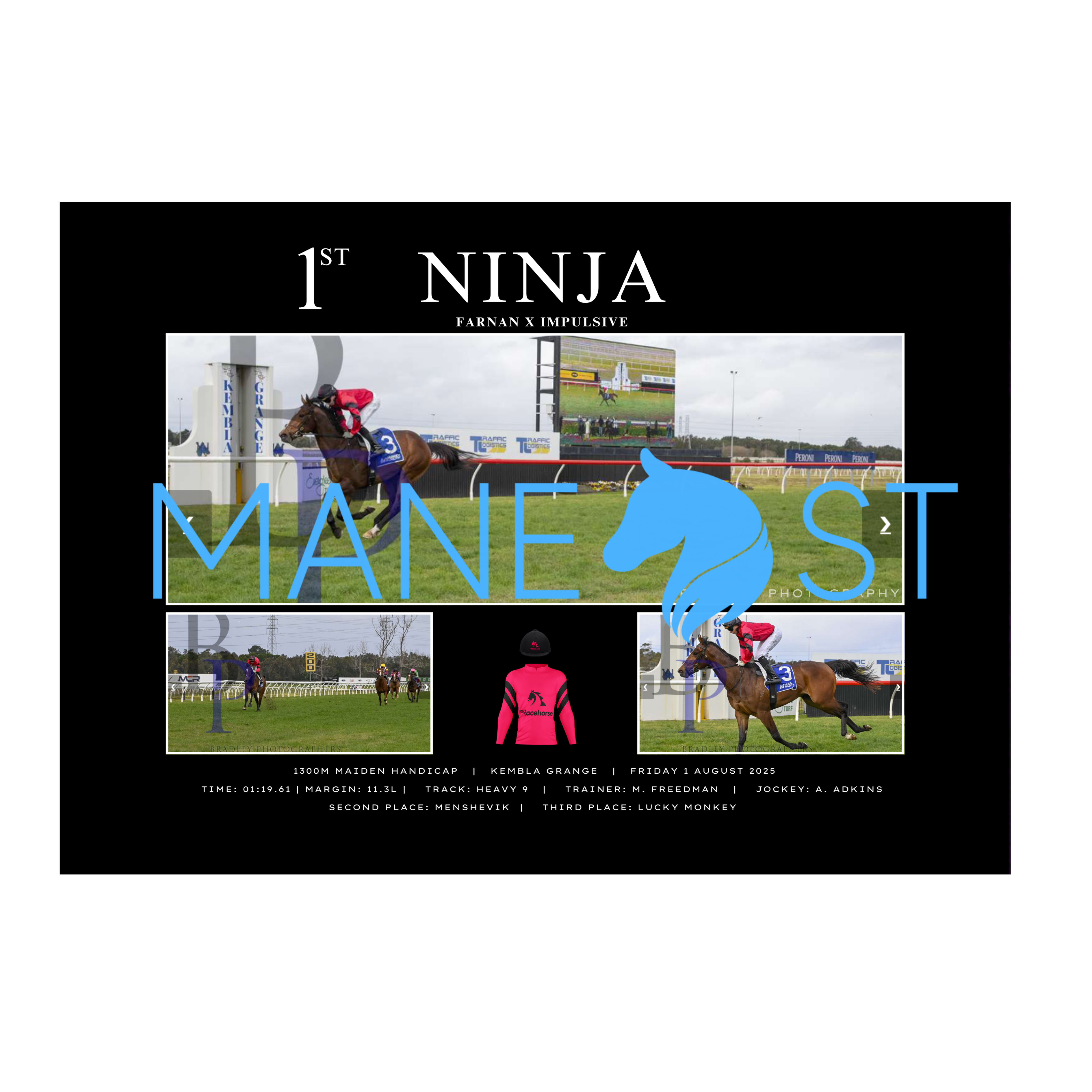 Ninja Maiden Win 2025 - Standard