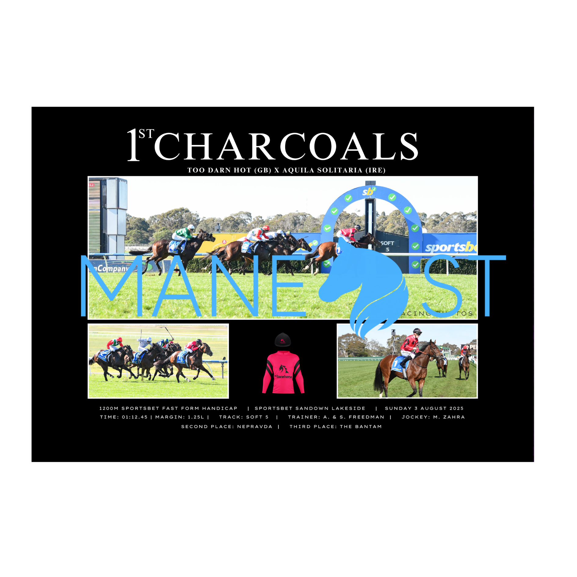 Charcoals Sandown August 2025 Win - Standard