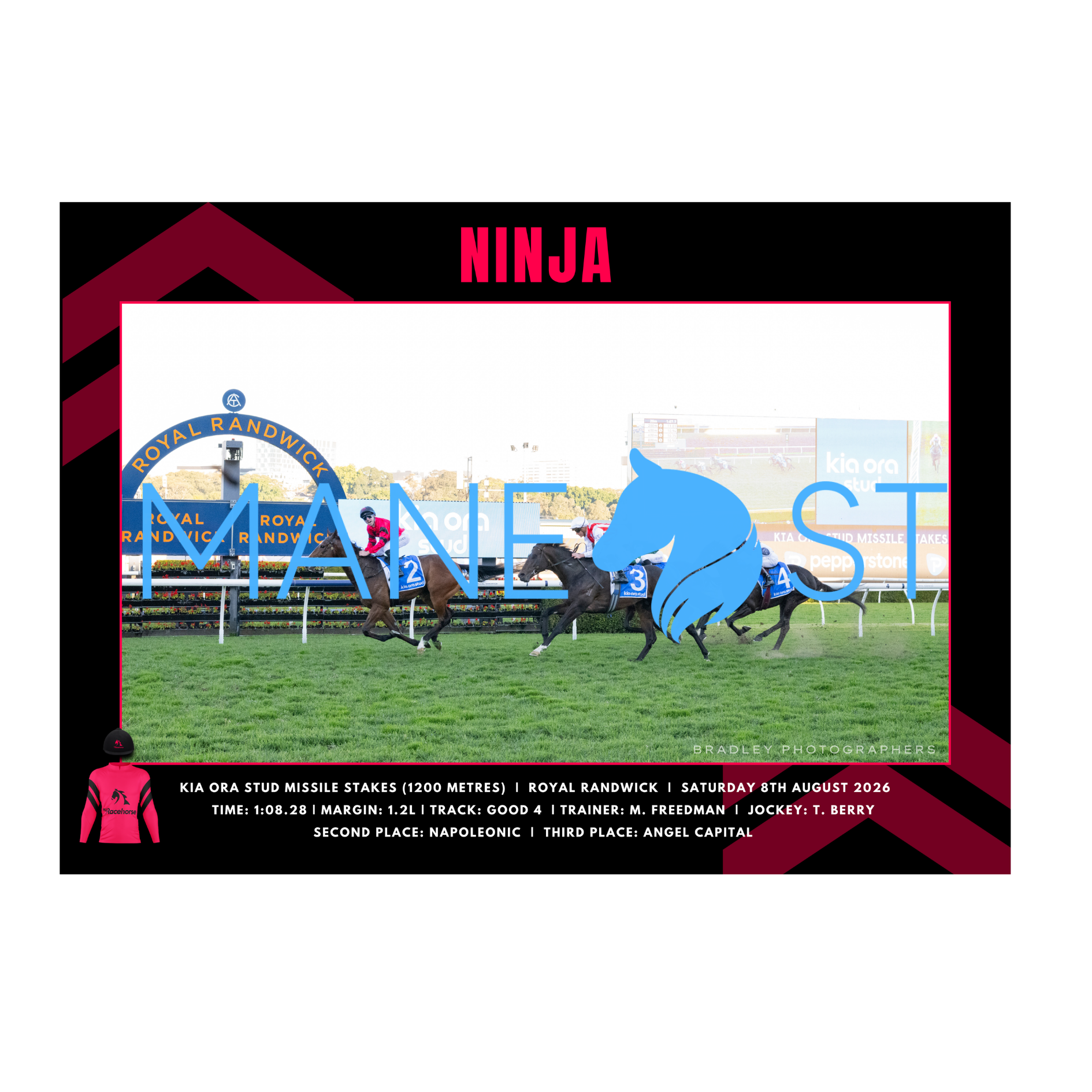 Ninja - Missile Stakes Print