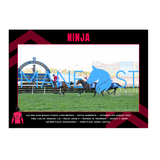 Ninja - Missile Stakes Print