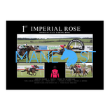 Imperial Rose Maiden - Personalised