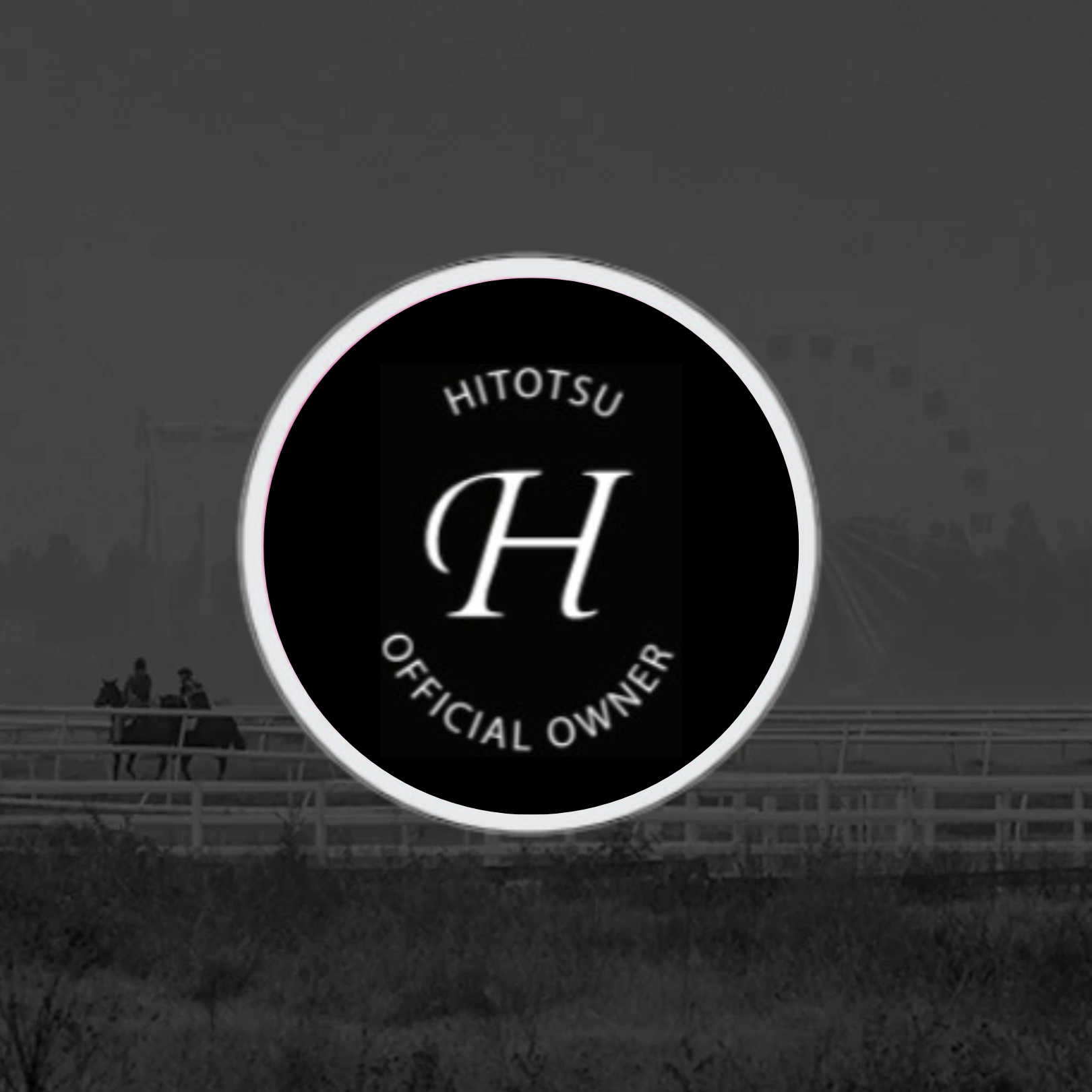 Hitotsu Lapel Pin