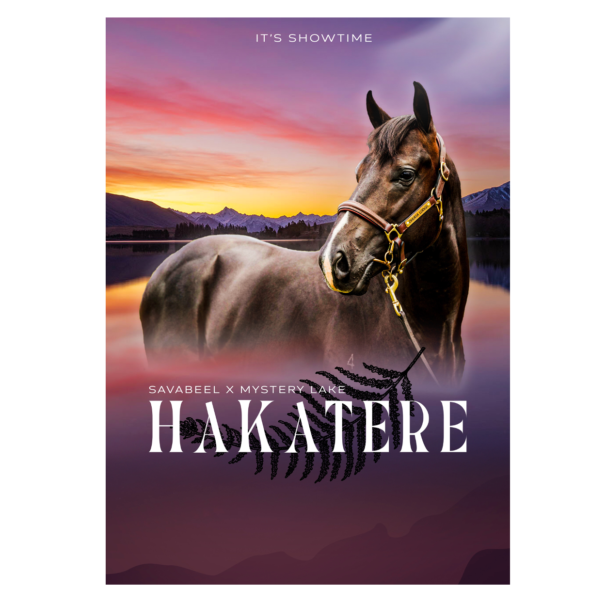Hakatere It's Showtime Framed Poster