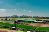 Melbourne Cup Bucket List