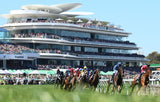 Melbourne Cup Bucket List